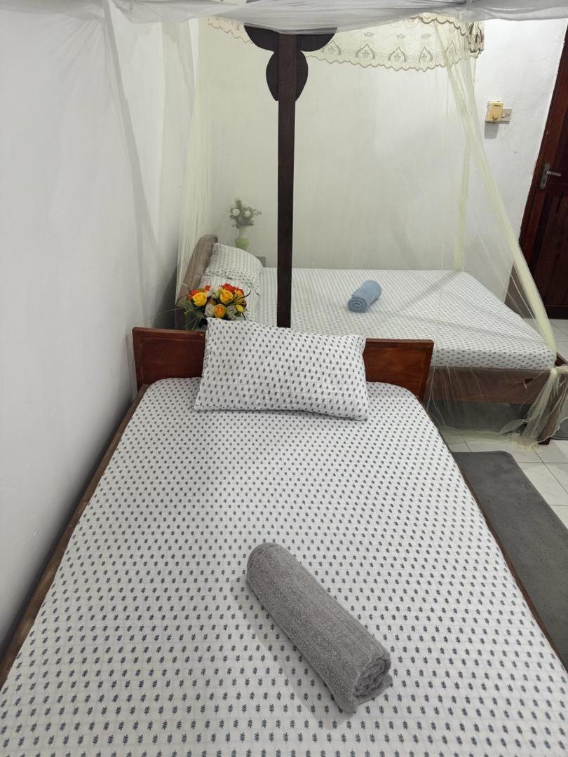 Sanaa Hostel ザンジバルシティ エクステリア 写真